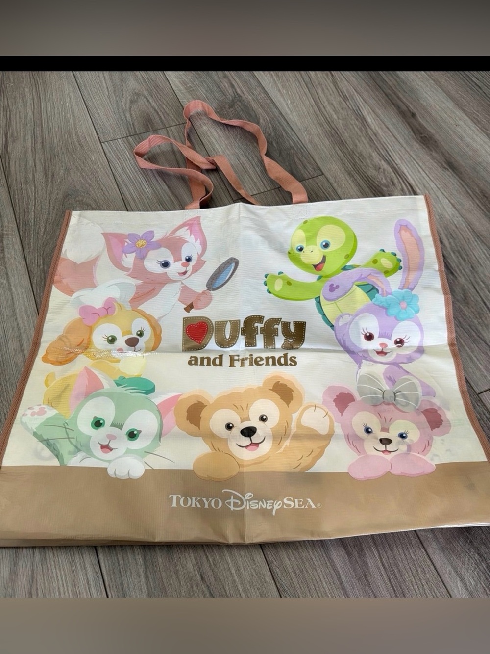 Tokyo DisneySea Reusable Shopping Bag
